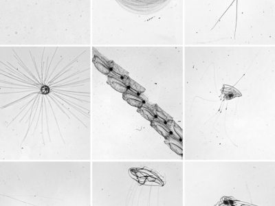 ab6ce8bc-1a2d-4123-bde1-9401af1e2b79 (1)